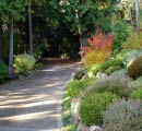 Gardens Photo Gallery